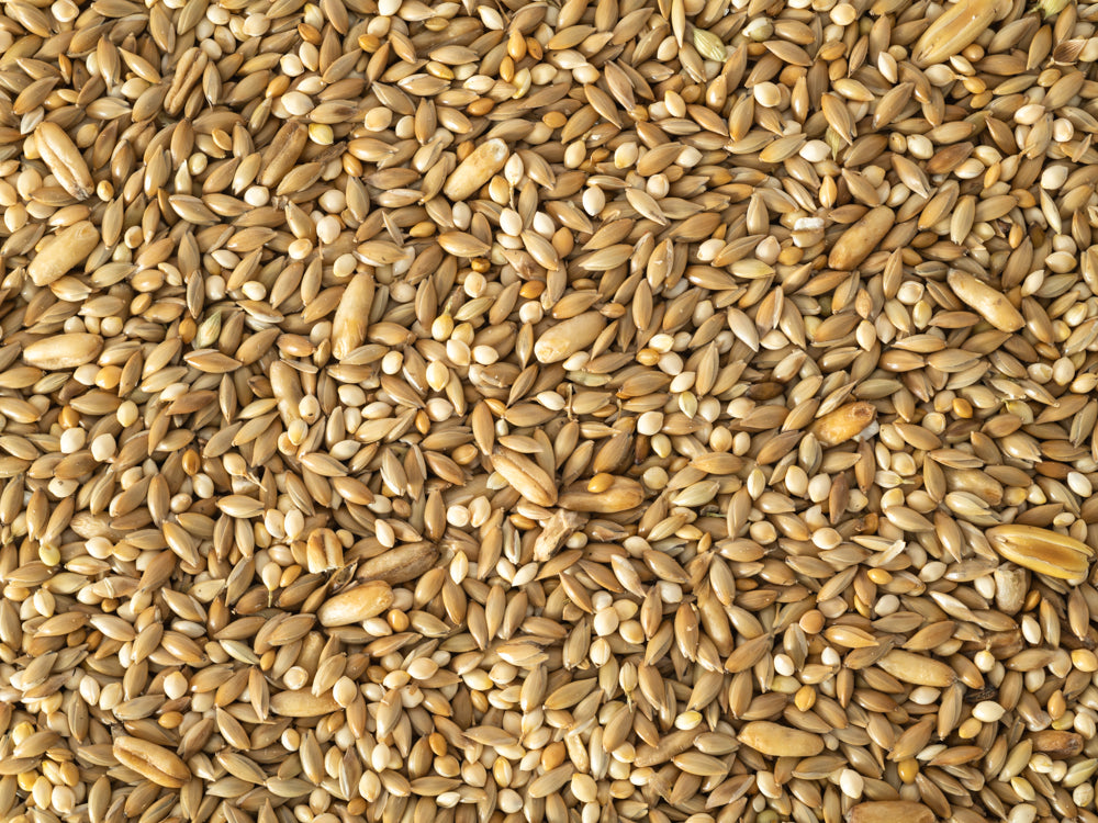 Budgie Bird Seed 1Kg