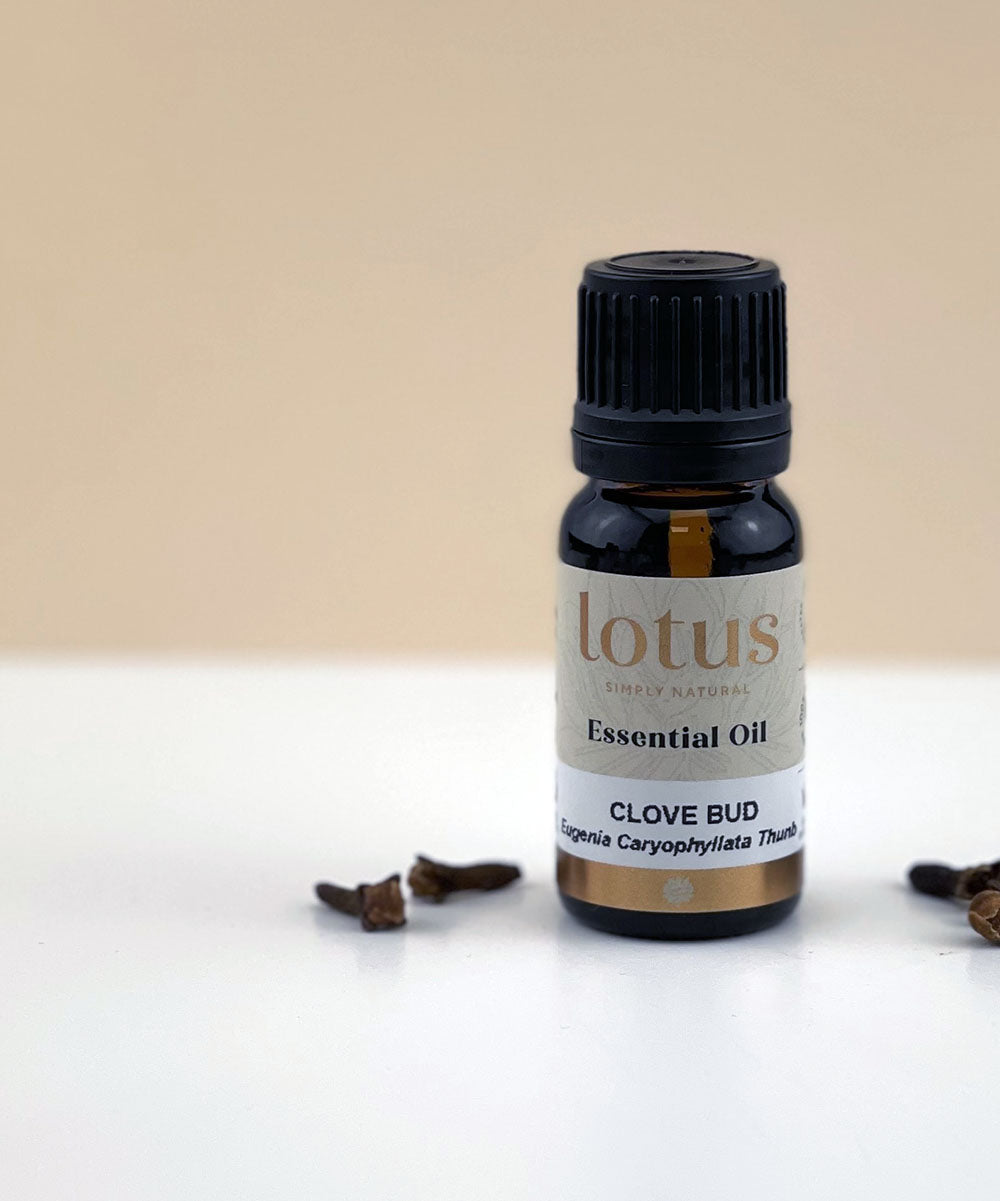 Lotus Clove Bud Essential Oil 10ml