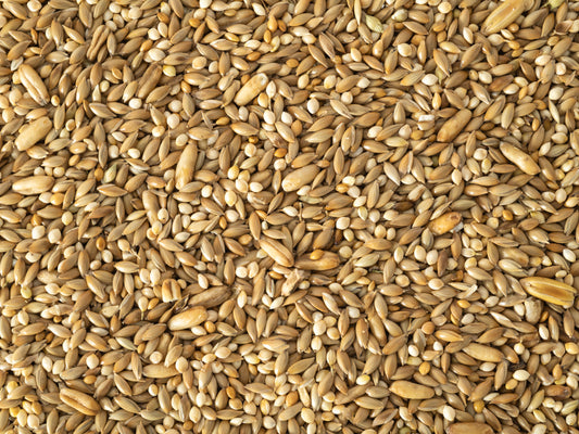 Budgie Bird Seed 1Kg