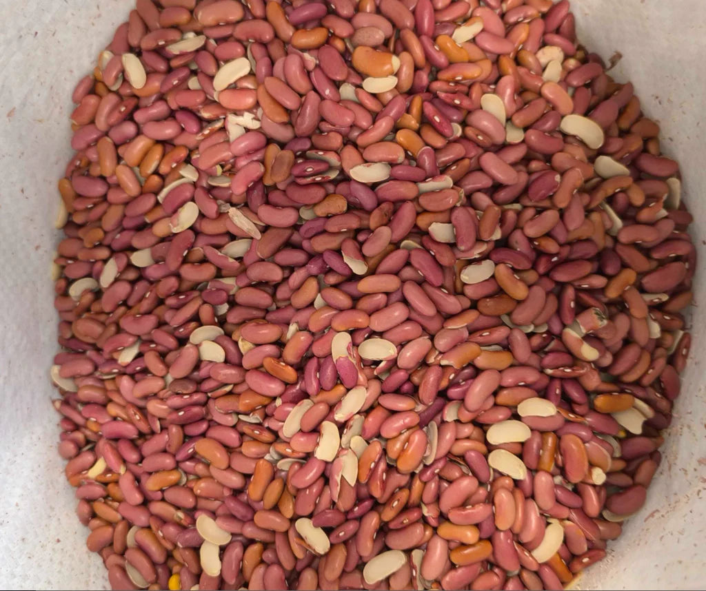 Red Kidney Beans 1Kg