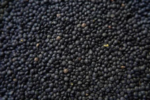 Beluga Lentils 1Kg