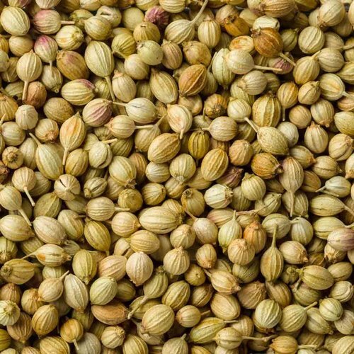Organic Coriander Seeds 200g