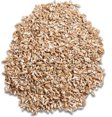 Rye Kibbled 500g